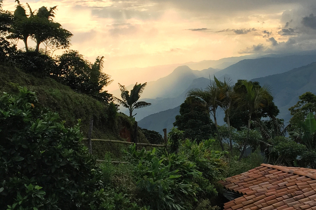 Cordial Coffee Co Brandon Belland visits Finca La Vega, a string of coffee farms in Antioquia, Colombia