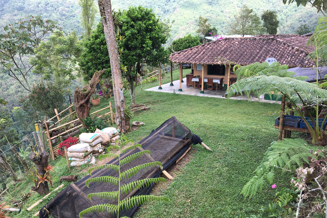 Cordial Coffee Co Brandon Belland visits Finca La Vega, a string of coffee farms in Antioquia, Colombia